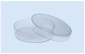 Boîte de Petri 60 mm à un compartiment | PLASTILAB | 60mm